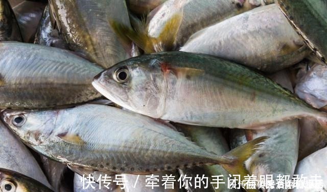 金鲳鱼|5种公认最好吃的海鱼,识货的抢着买,连老板都会给自己留一两条