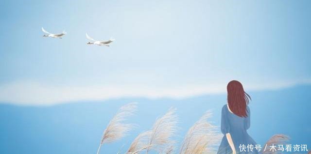 这部|继囧囧有妖《恰似寒光遇骄阳》后,唐玉的这部高评分小说来袭