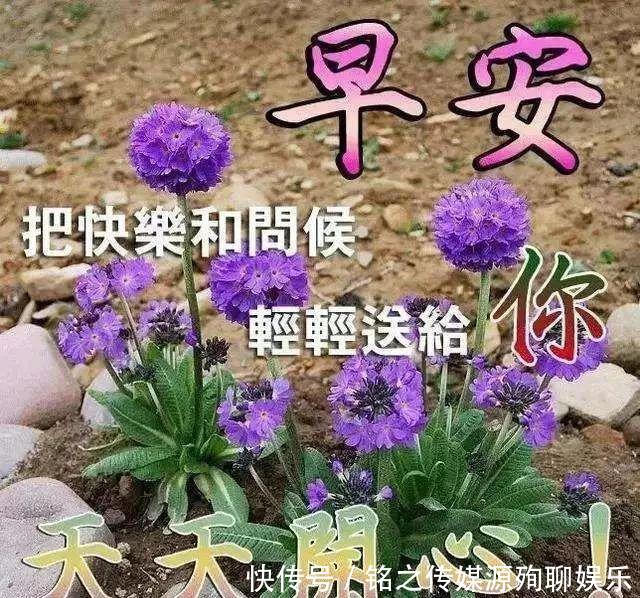 动态|早上好阳光暖心的祝福语动态图片，最新漂亮早上好动态表情图片