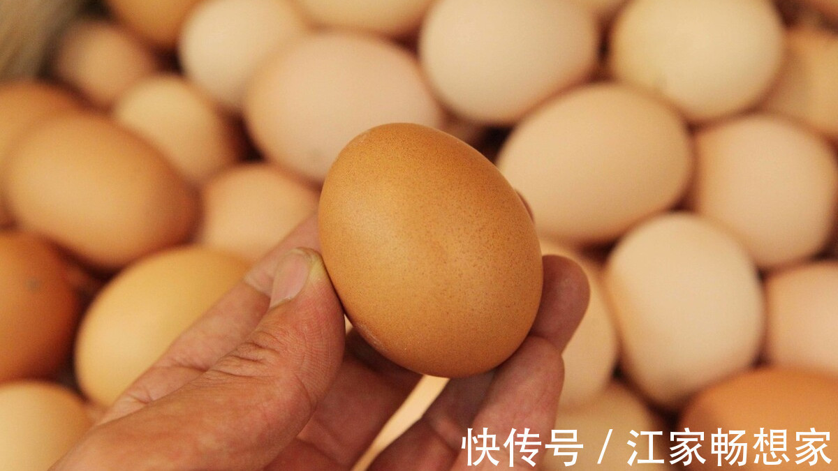 颜色|鸡蛋颜色不同,红壳和白壳哪样好教你正确挑选方法,不要买错了