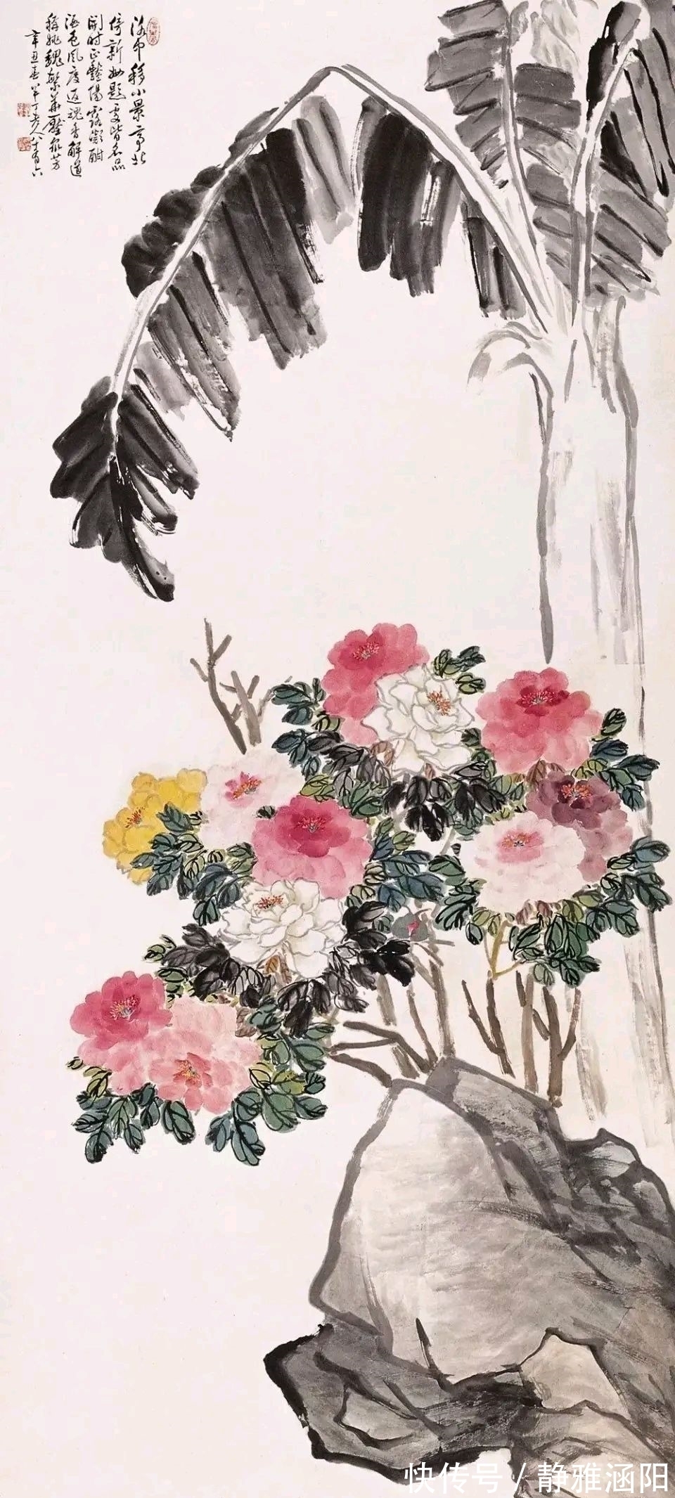 陈半丁|嗜书画入骨的陈半丁,一组有个性的牡丹花