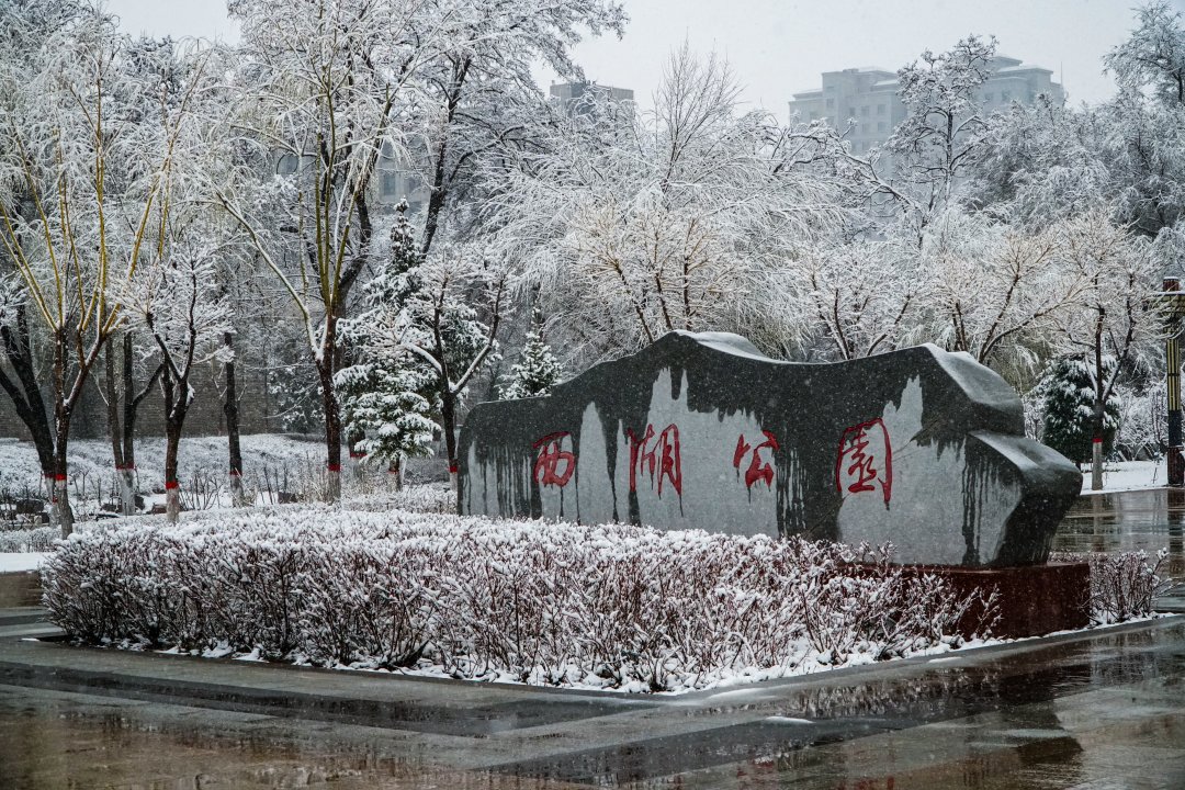 第一场雪|美不胜收！固原迎来今秋第一场雪