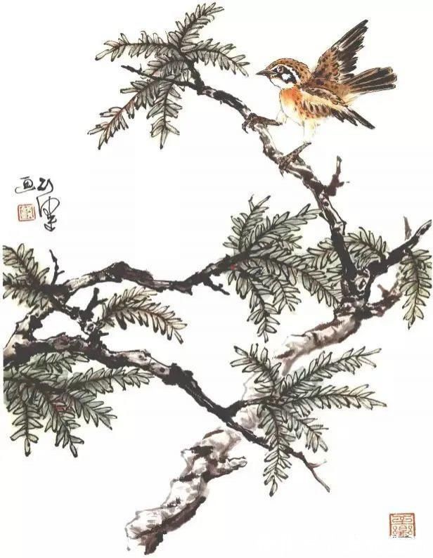 花鸟画@他的师父是海派小写意花鸟画第一人江寒汀,其作品自然也不差