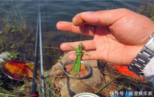 饵料|草鱼最爱吃的并不是草料，而是这些活物，用来钓草鱼有奇效！