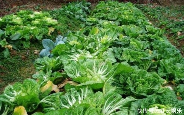 将军|开国少将出差睡6人间,县武装部长睡单间,将军的做法让人意外!