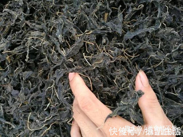 芝麻|很多人都只吃种子,实际叶子才是真宝贝,20一斤供不应求