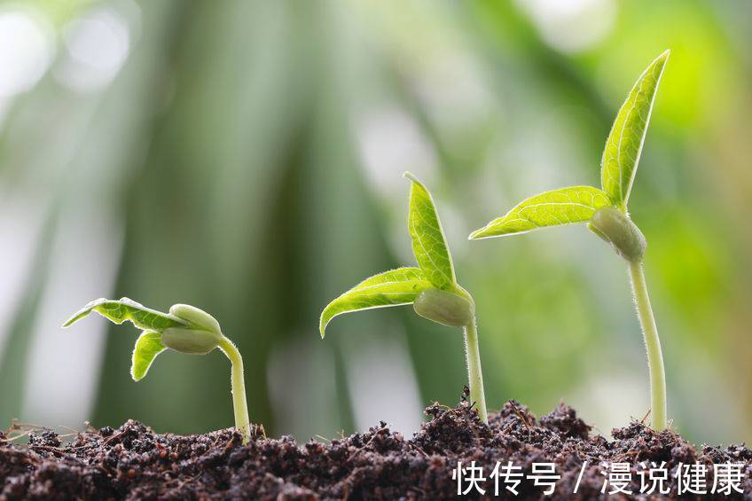 立春|立春不养生,开春找医生?做好这3“忌”,往后的每一天都是健康