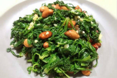 蒲公英|想长寿要先会吃，三种食物换着来，益气清肠，滋阴润肺