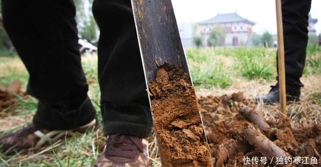 盗墓界的“祖师爷”,盗遍唐皇陵,只有此座不敢挖,一挖就出怪事!