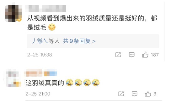 安全座椅 “爆款!”女子打车时羽绒服爆炸!羽毛满车飞