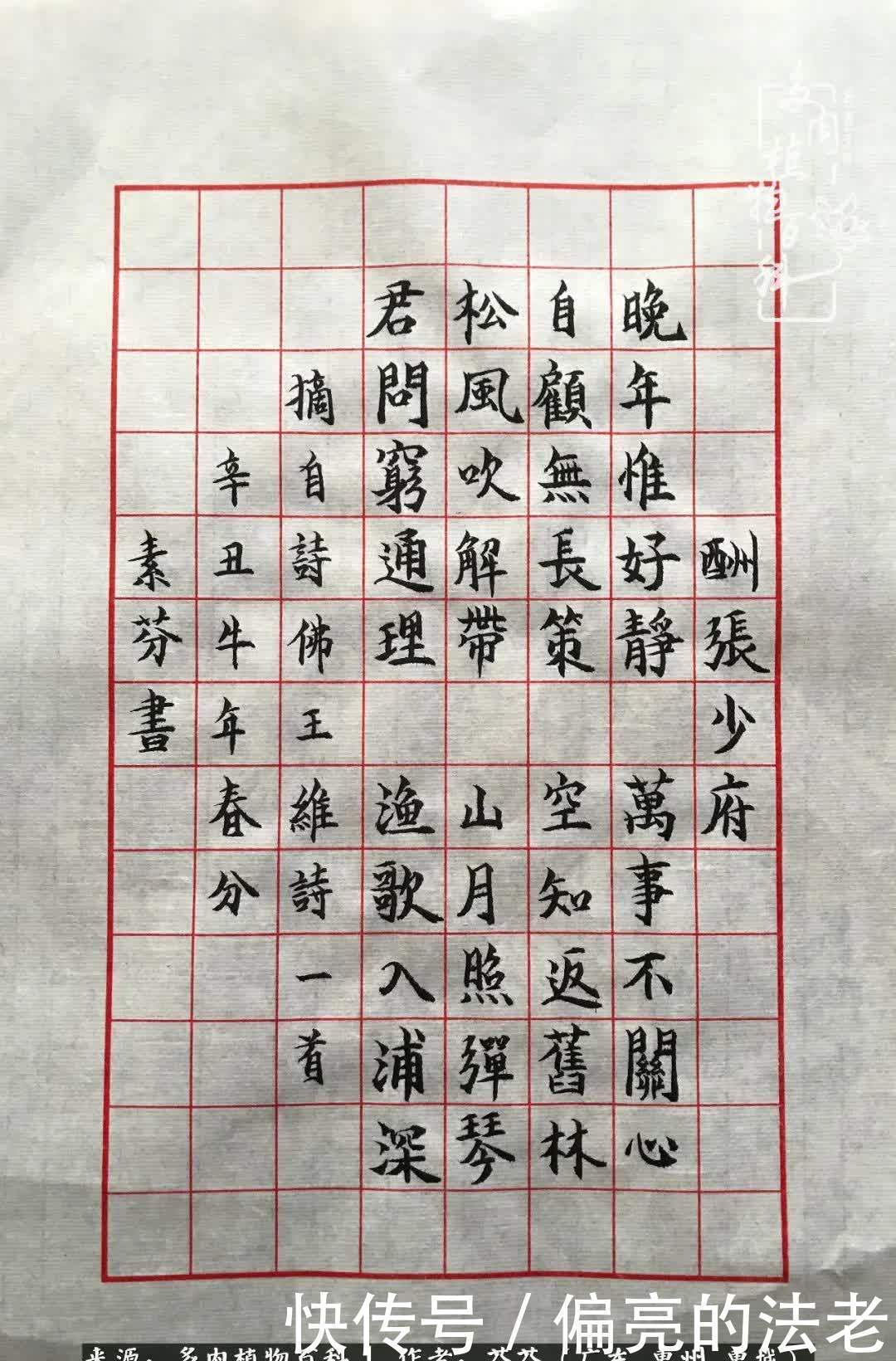 养花|一种爱好就是一种境界，养花养多肉可以培养一个人的心境！