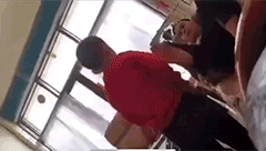 |搞笑GIF趣图:没有大脑,才活得够久