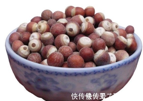 补肾|此物被称为“水中人参”,除湿比薏仁好,生吃补肾,熟吃健脾胃