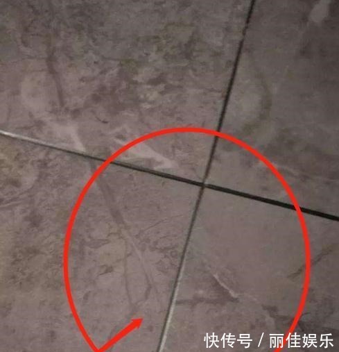 洗碗机|砸58万装修总结26条良心建议!上千万业主栽过跟头!你家别再错了