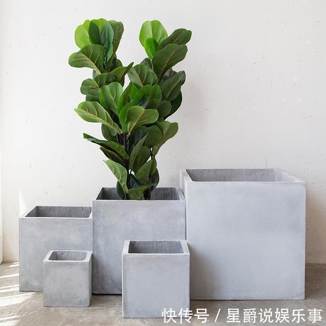 花草|6种花盆,不适合养花,难怪长势不好,扔了吧