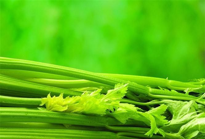  养生|秋季养生常吃四种食物，清热排毒，降压降脂，血管更通畅