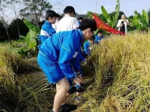 研学|在国家大力支持“研学旅游”背景下，该如何打造“研学+”项目？