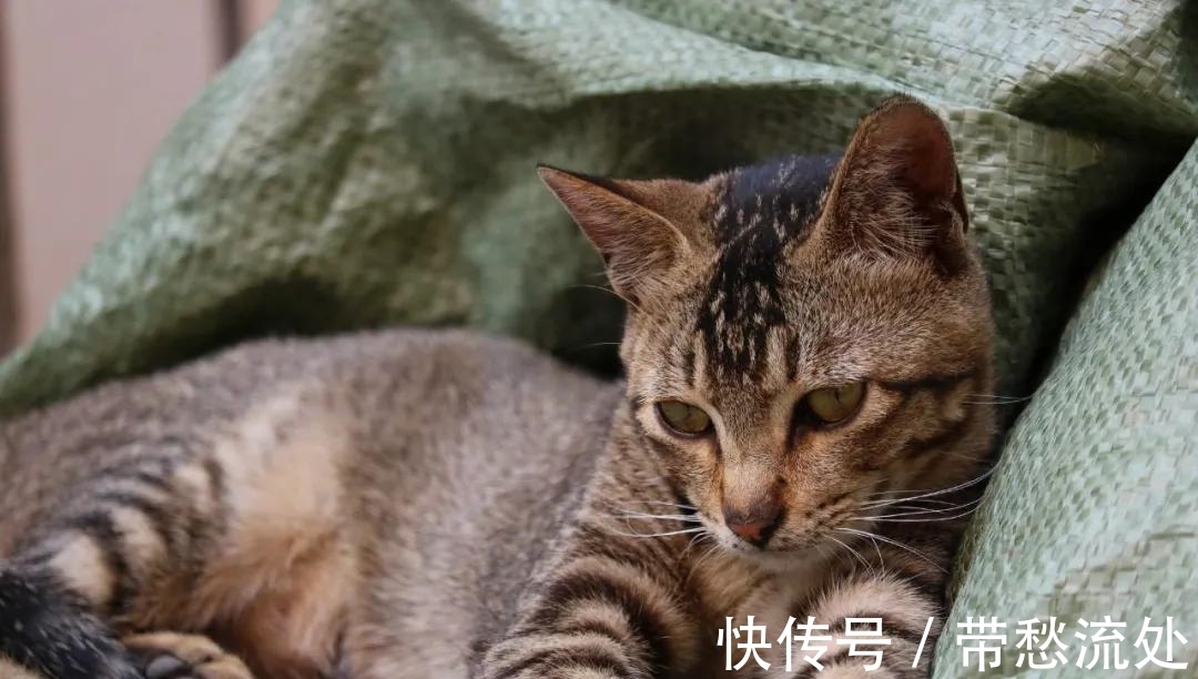 up主|隐秘的电商生意：我花35块网购，收到一具尸体