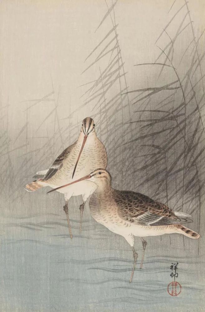 日本绘画大师的花鸟画，淡雅清新