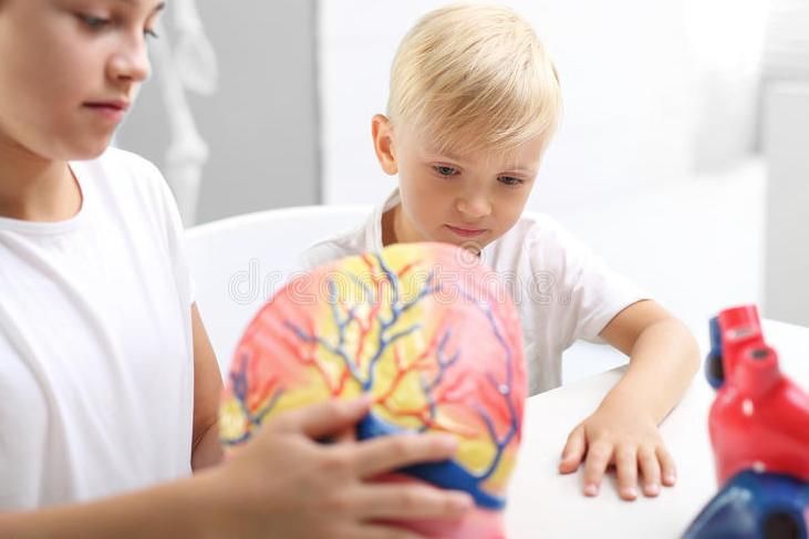 肥胖|预防心血管疾病,从儿童青少年时期,可以有意识避开这些因素