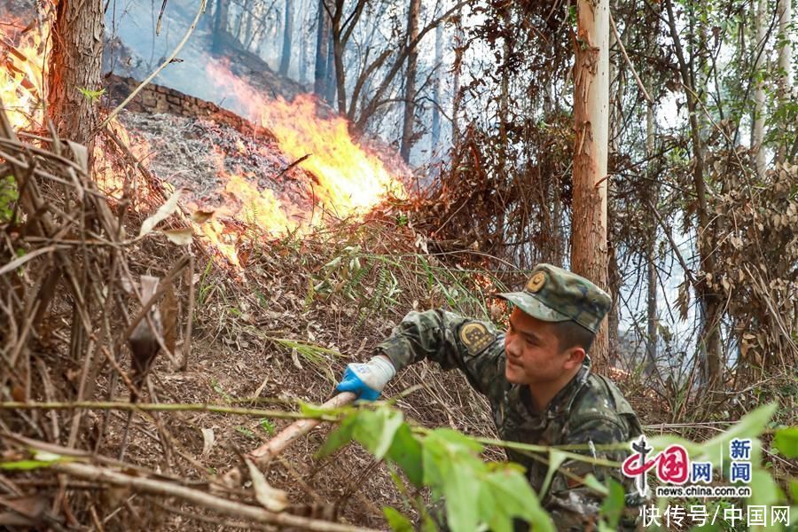 广西河池突发山火！武警官兵紧急驰援