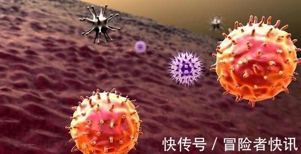 抗癌|其抗癌能力强于大蒜,如果每天多吃,癌细胞可能不敢放肆!