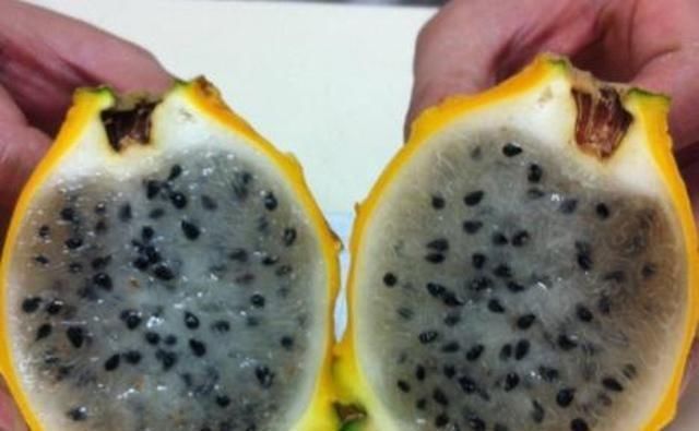 这些“双胞胎”水果长得像却贵贱分明,同果不同命,你分得清吗