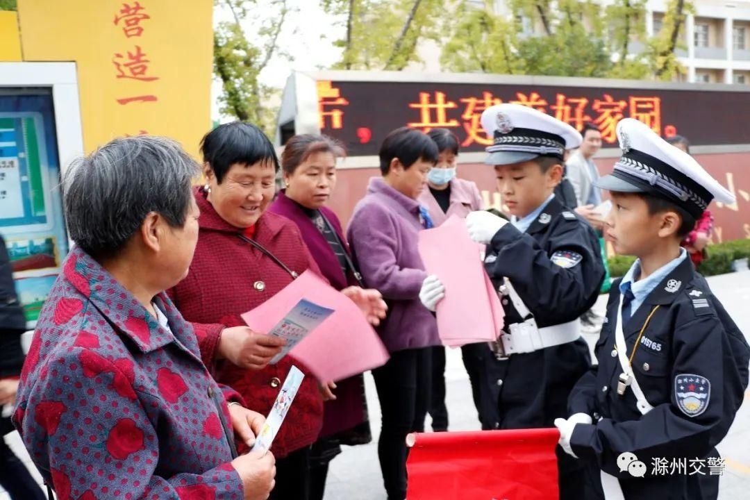 小学|交警支队为龙蟠小学“小小交警队”授旗