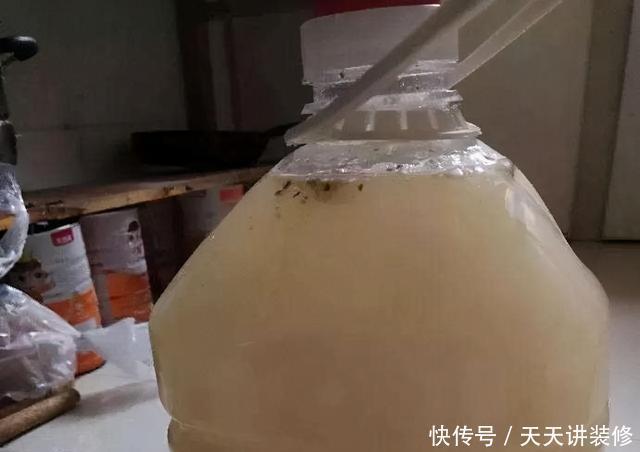 淘米水家家有,淘米水发酵多久浇花?哪些花适合浇?