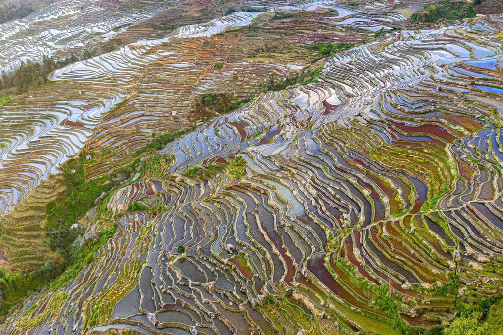 壮美元阳梯田，哈尼族人的大地艺术杰作