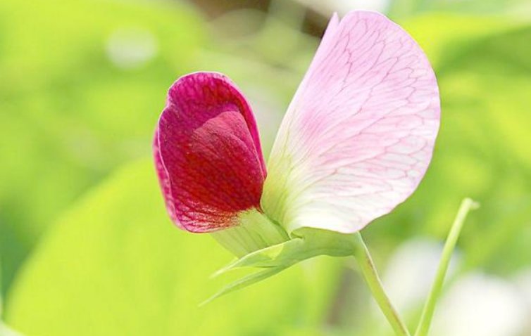 朋友|退休之后,真正有福气的人,很少交朋友了