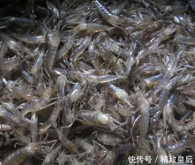 曾是儿时开荤必吃的野味，现在有钱也难买到了