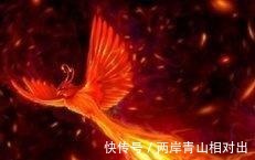 四大灵猴|神话中鸟王是凤凰,那么龙王、狮王、狗王、猴王又分别是谁!