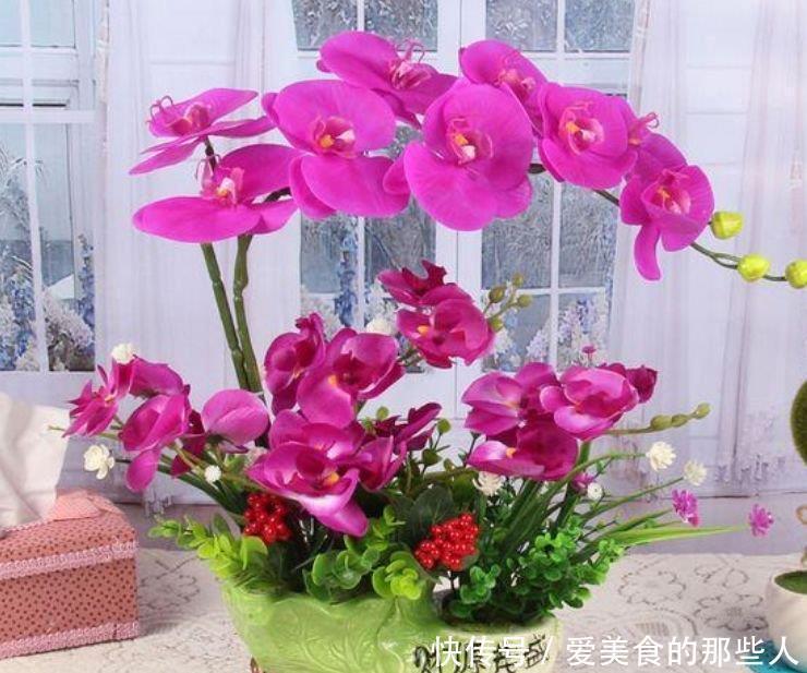 4种旺运花,吉祥添富贵,给点水就疯长,全年开花不断