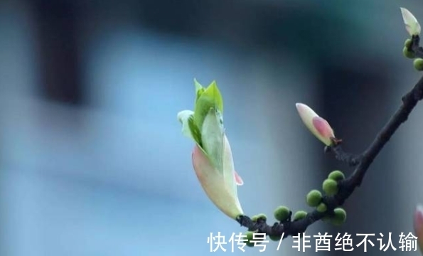 凡夫#知者不言,言者不知,那么在老子眼中什么样的人能称之为“知者”