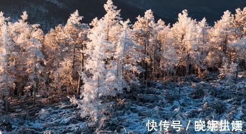 冬天|在中国最北端，还藏着这么一个美丽的神仙地方，不去可能会后悔！