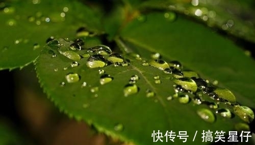 苍茫|作者曾被杜甫盛赞,一首《晚秋》苍茫辽阔,更显满眼秋色