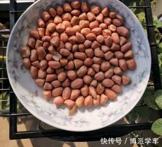 花生米别光吃炸的了，教你新做法，又香又脆还不泛潮，特简单