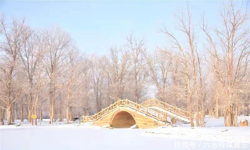 胡杨林|金塔下雪了，我们一起去金塔沙漠胡杨林踏雪可好