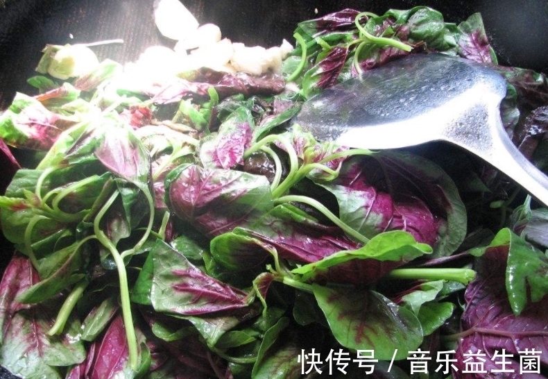 根部|這種野菜一身都是寶，農民總是吃葉子，卻不知根的價值才最高！