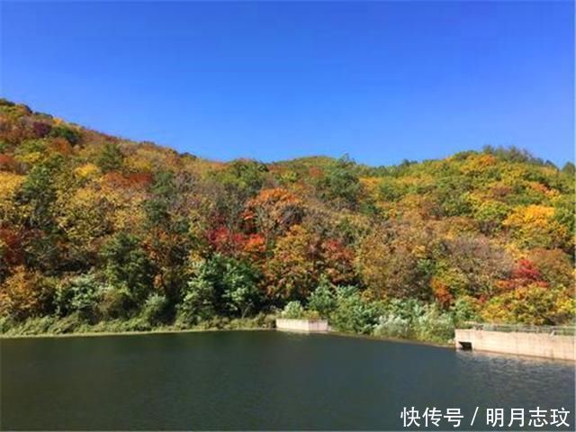 被誉为“东北之宝”的大公园，门票40游客不断，被取消四A评价