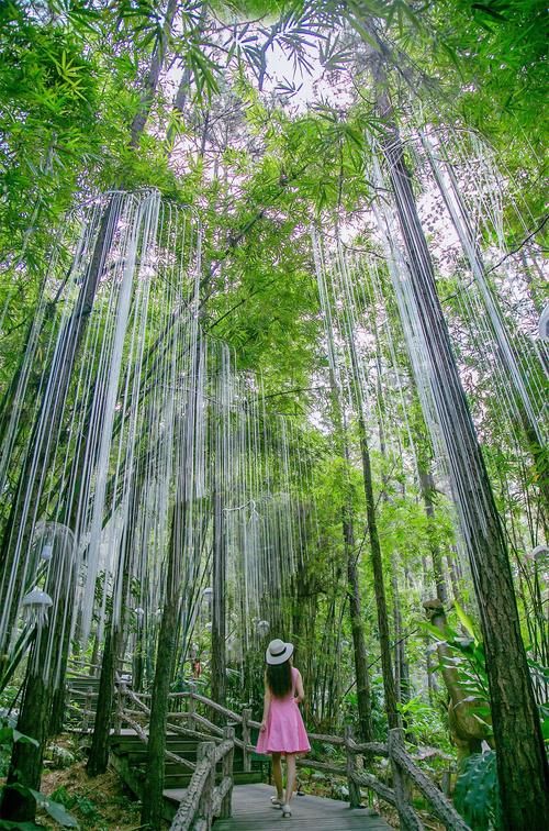 森波拉|南国的冬天，异木棉盛开，这座以森林为主题的公园太适合打卡拍照了