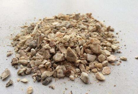 蟹爪兰不开花,2种废渣家家都有,埋1点花芽猛长,花爆盆