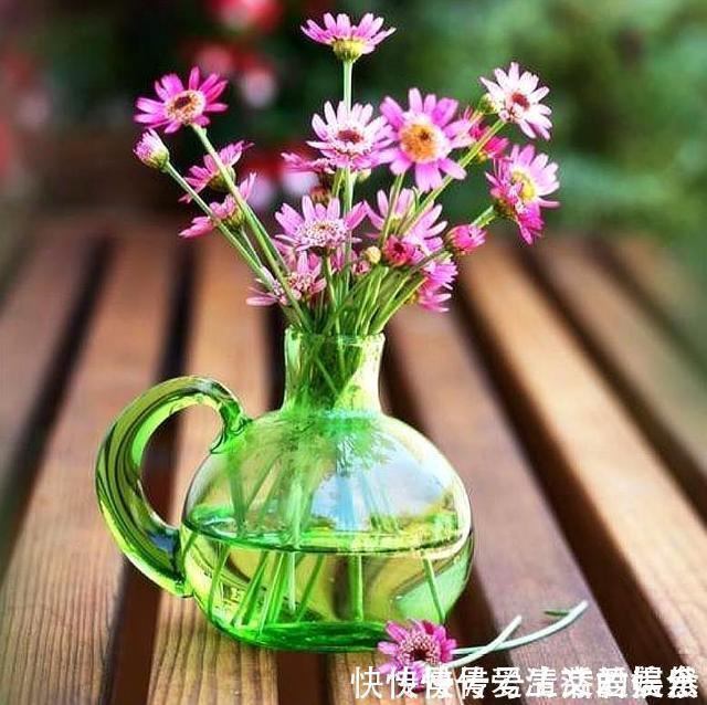 新思路#南山老人提醒我:做人再有本事,也要对这四件事守口如瓶,有道理