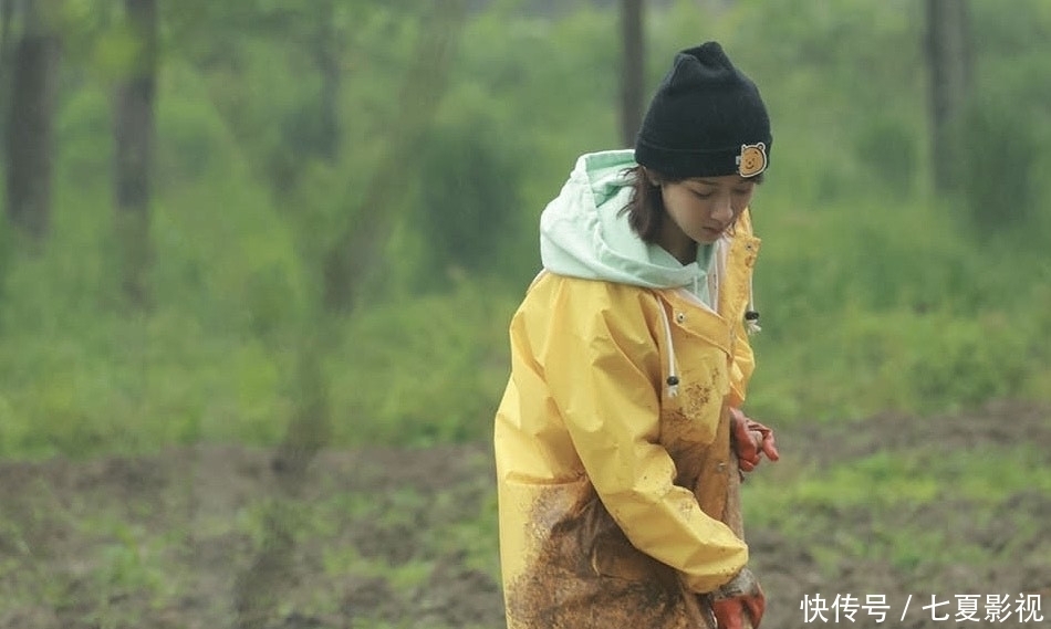 杨紫 向往5:杨紫专场收视高播放量却本季最低,不怪杨紫,原因在他们