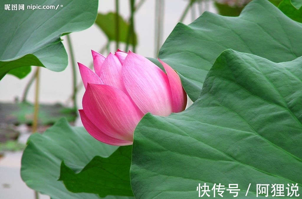 五言律诗!五言律诗一首:秋居黔岭