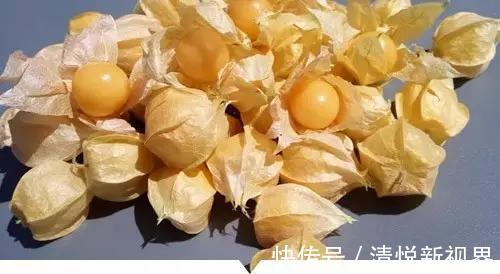 禾本科|小时候常见却叫不出名字的植物,太全了