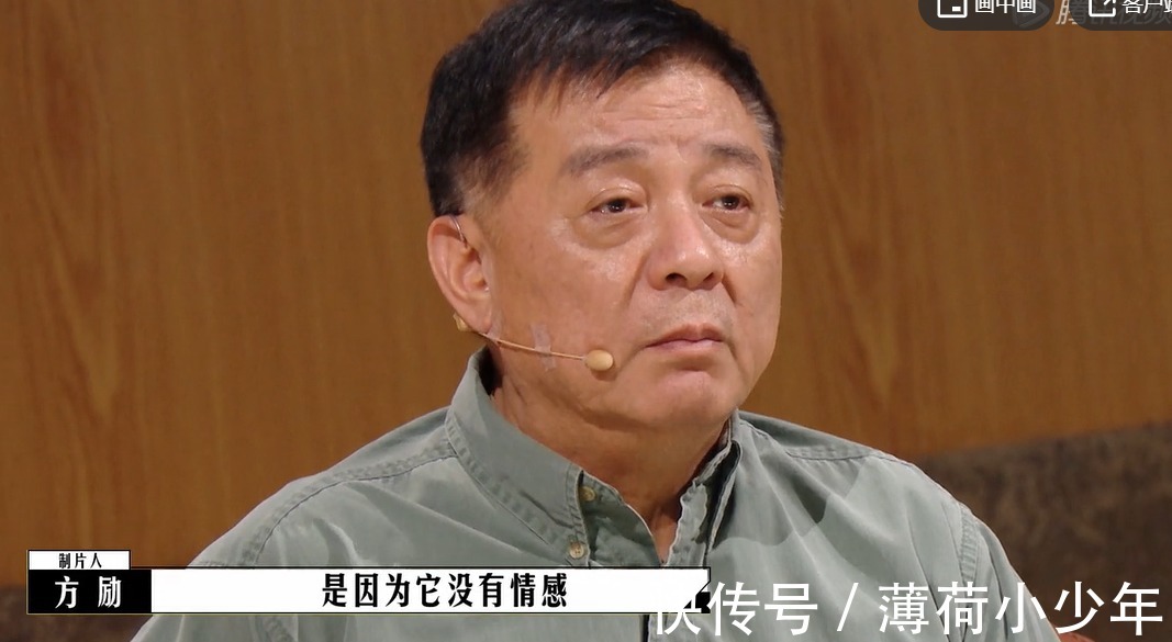 《导演请指教》,综艺效果拉满