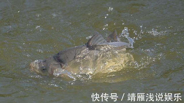 这几个迹象出现时，说明大鱼已经进窝了