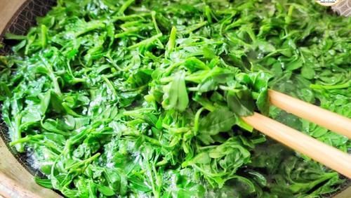 陈醋|“头茬赛人参”,此菜春季吃正当时,清香鲜嫩,营养美味